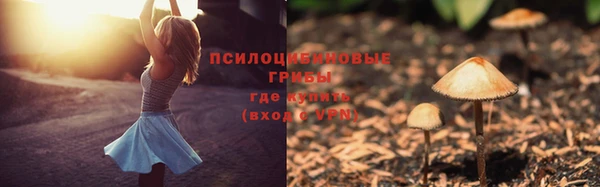 твердый Алексеевка